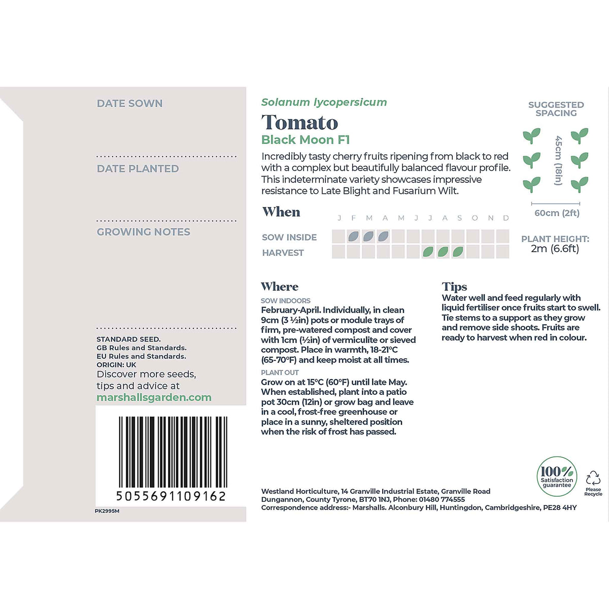 Black Moon Tomato Seeds | Set of 8