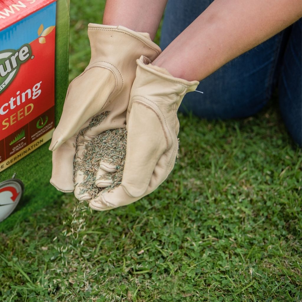 Fast Acting Lawn Seed - Fast-germinating, Hard-wearing Blend | 1 x 30sqm