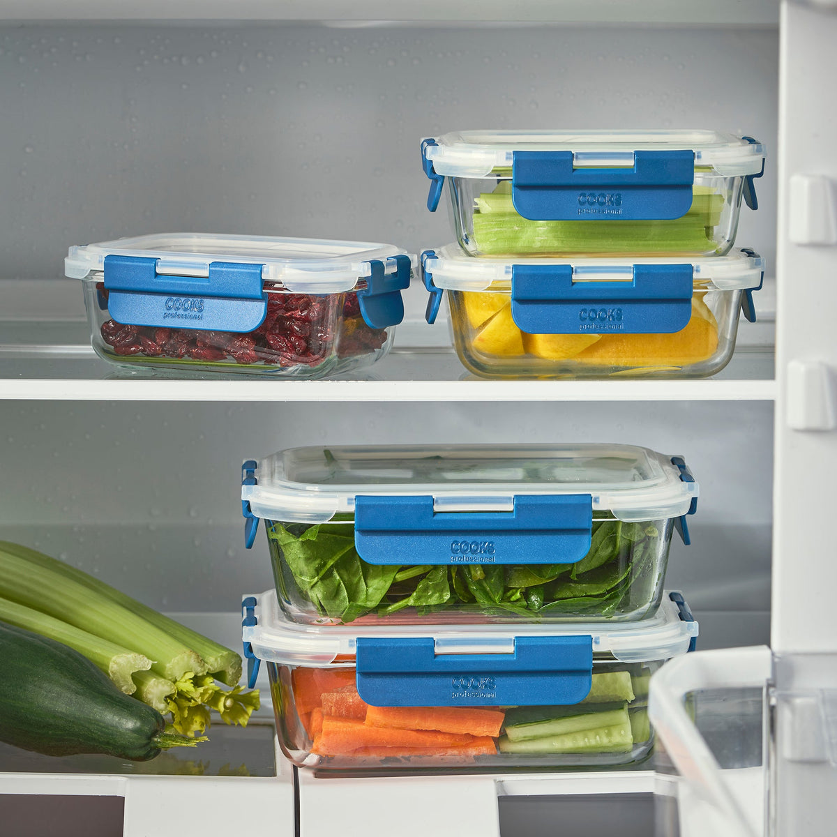Set Of 10 Glass Oven Safe Food Storage Containers With Plastic Lids