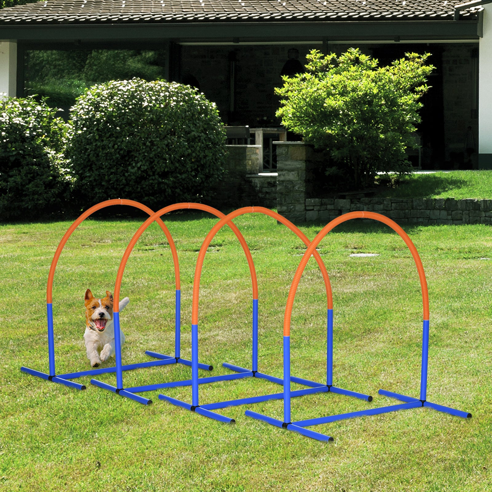 Dog Agility Training Equipment Pet Agility Training Set With Carry Bag