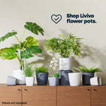 Livivo 18cm Wave Grey & White Plant Pots - Set Of 2