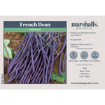 French Bean Carminat, Climbing Stringless Purple Pods | 50 Seeds | Purple & Green