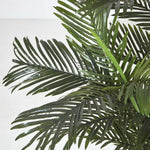 Multi Stem Green Palm Tree In Pot | 180cm | Green