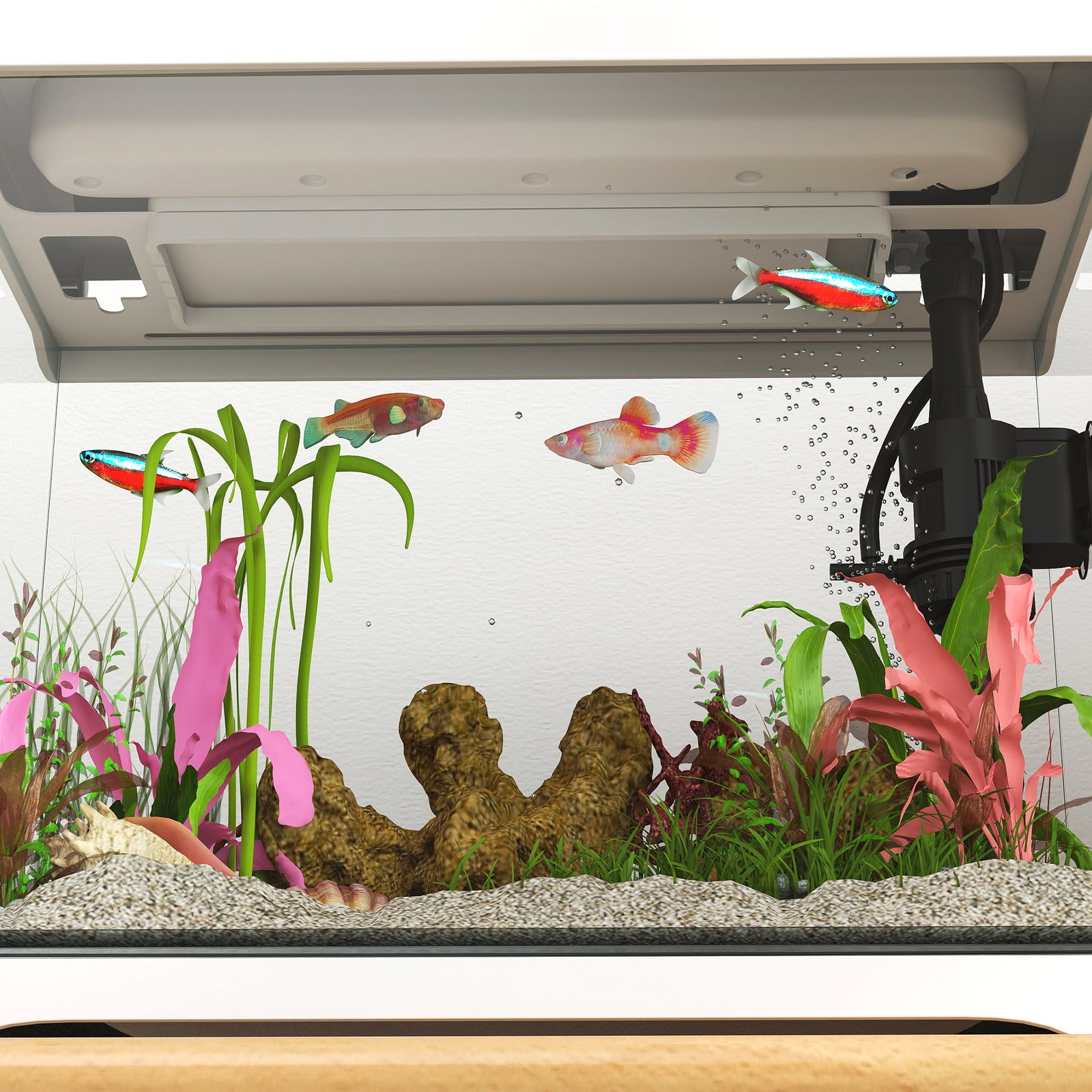 Glass Fish Tank With Filter System, Led Light, Water Pump, White | Small | White