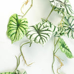 Artificial 120cm Trailing Hanging Plant Alocasia Dragon Scale