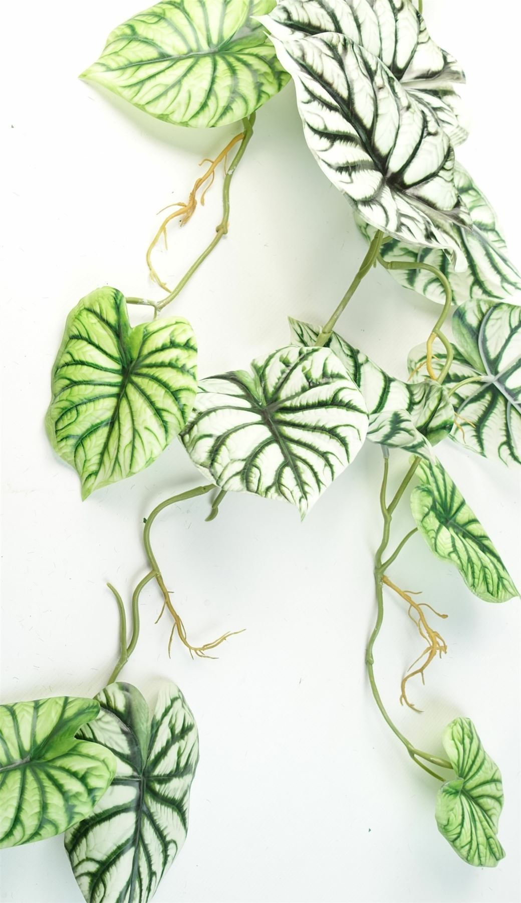 Artificial 120cm Trailing Hanging Plant Alocasia Dragon Scale