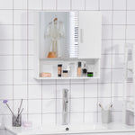 Bathroom Mirror Cabinet Wall Mount Storage Organizer W/ Door