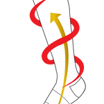 Energy Compression Socks | Small/Medium