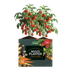 Multi-Planter Peat-free Grow Bag | 40l
