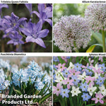 Thompson & Morgan Bulb Spring Flowering Collection 100 Bulbs