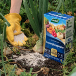 Superphosphate Plant Food Box | 1.5kg