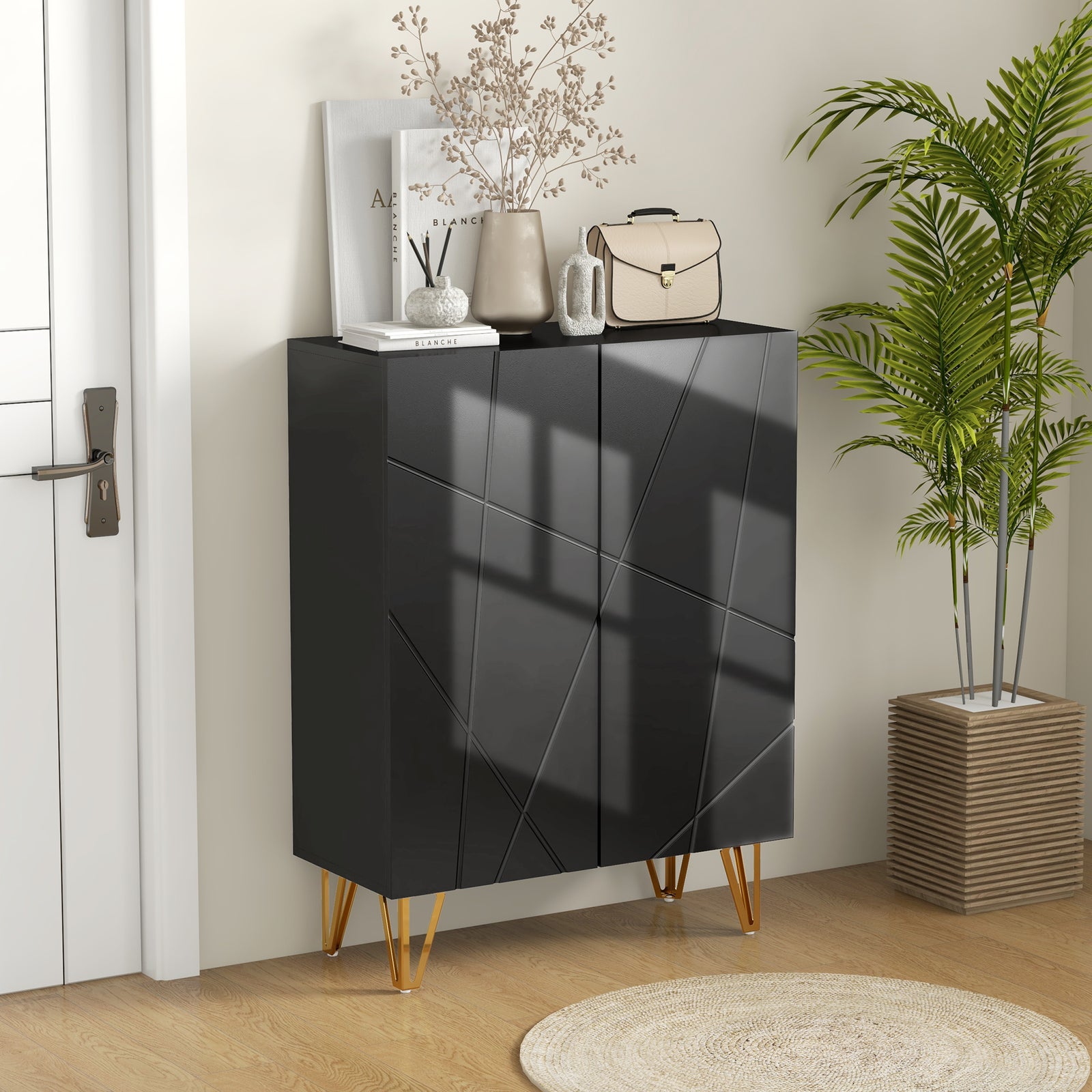 Shoe Storage Cabinet Soft-close Hinges And Adjust Shelves | One Size | Black