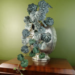 Artificial Hanging Trailing Plant Begonia Plant Botanik