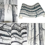 Removable Fabric Birch Tree Wallpaper Roll