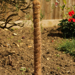 50cm Grow Poles Pack Of 2