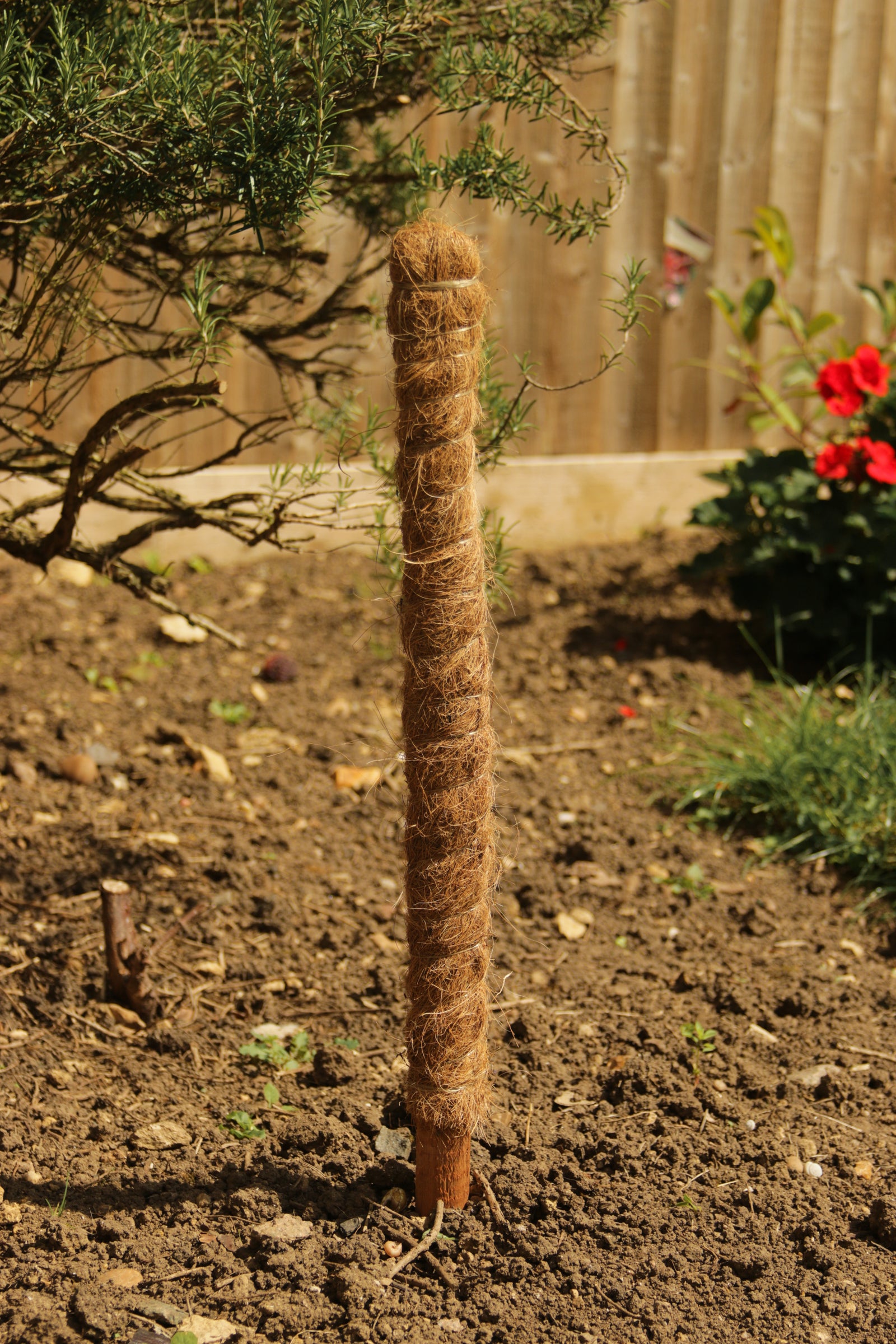 Grow Pole | 100cm
