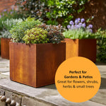 Pre Rusted Metal Planter Cube 50cm X 50cm