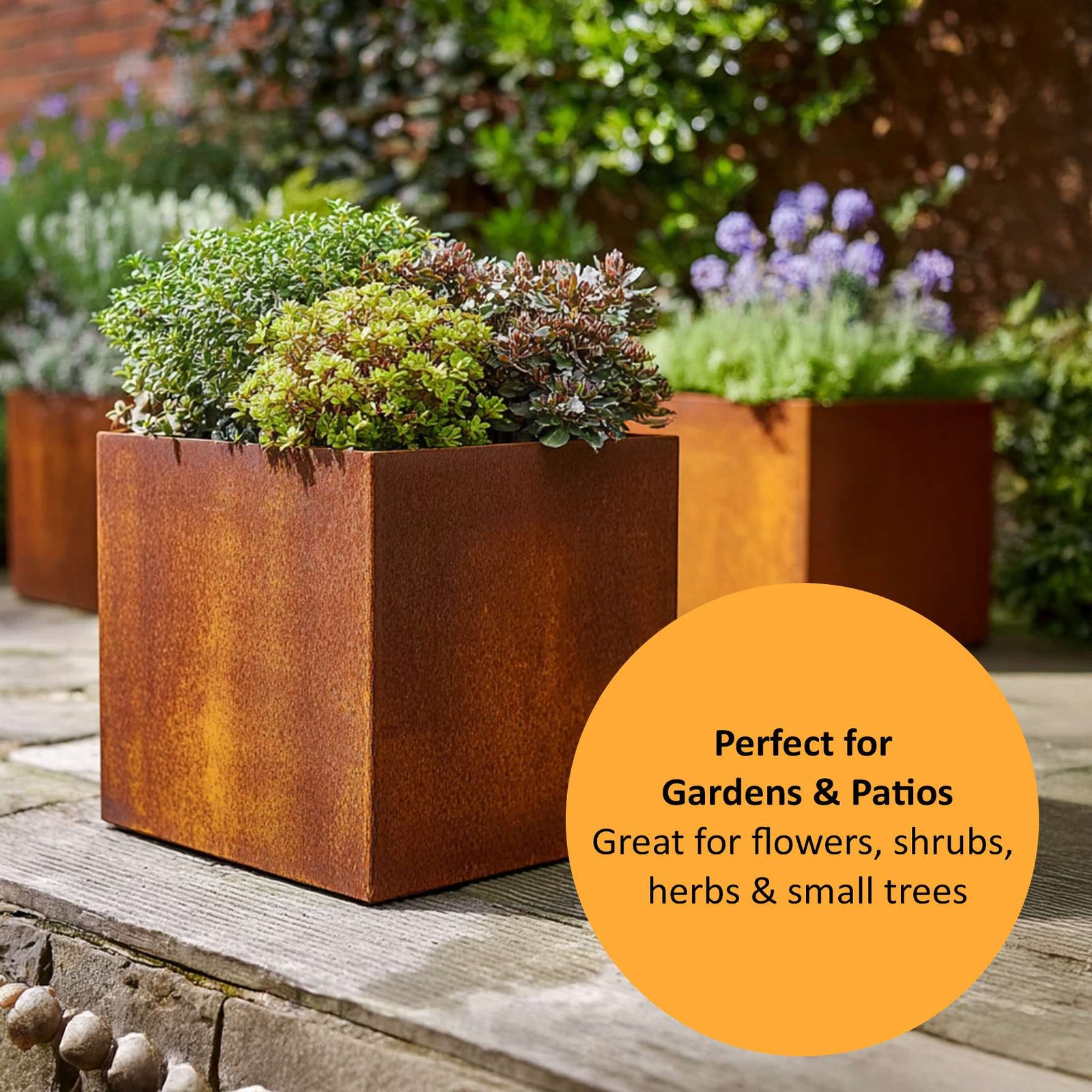 Pre Rusted Metal Planter Cube 50cm X 50cm