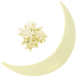 Glow-in-the-dark Moon & Stars
