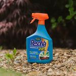 Weedkiller 24h Ready-to-use Spray | Set of 2