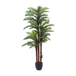 200cm H Artificial Cycas Palm Decorative Plant In Planter