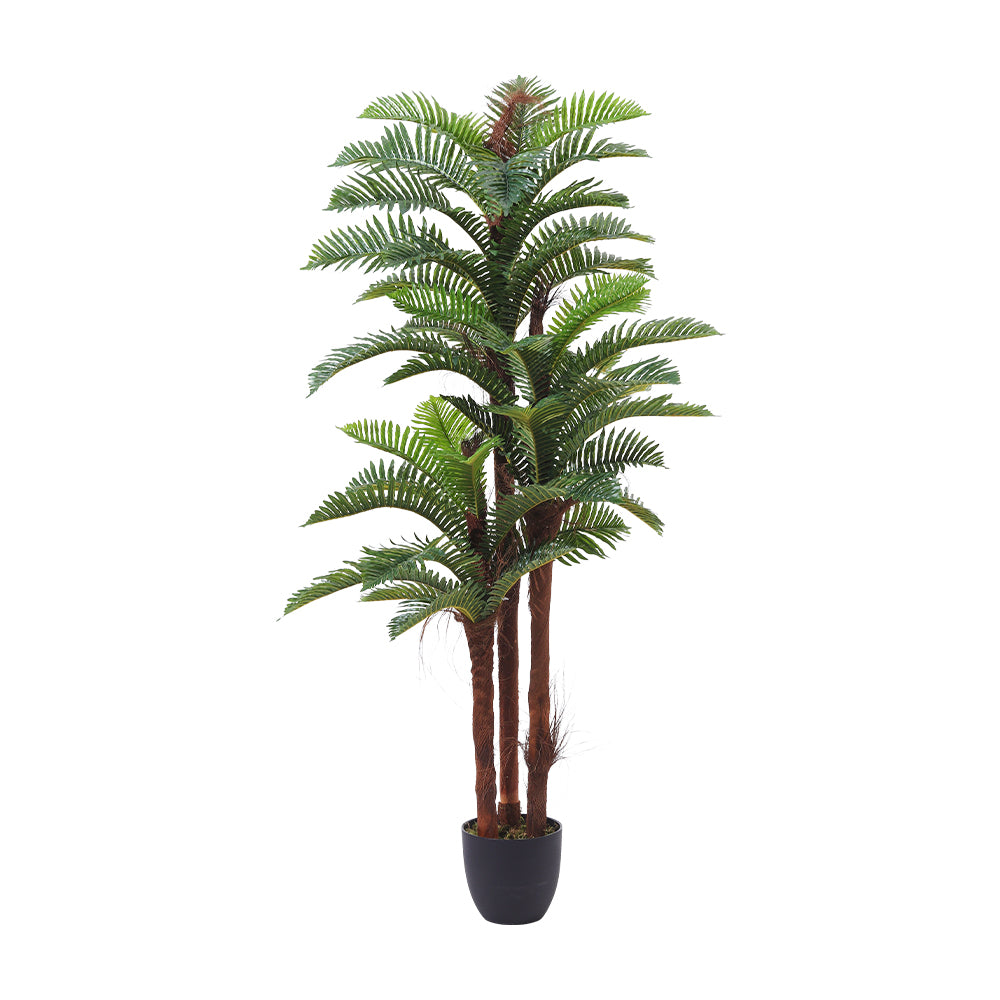 200cm H Artificial Cycas Palm Decorative Plant In Planter