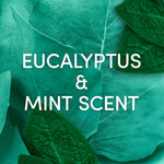 Advanced Anti-perspirant Deodorant Spray Eucalyptus + Mint 200ml | Set of 1