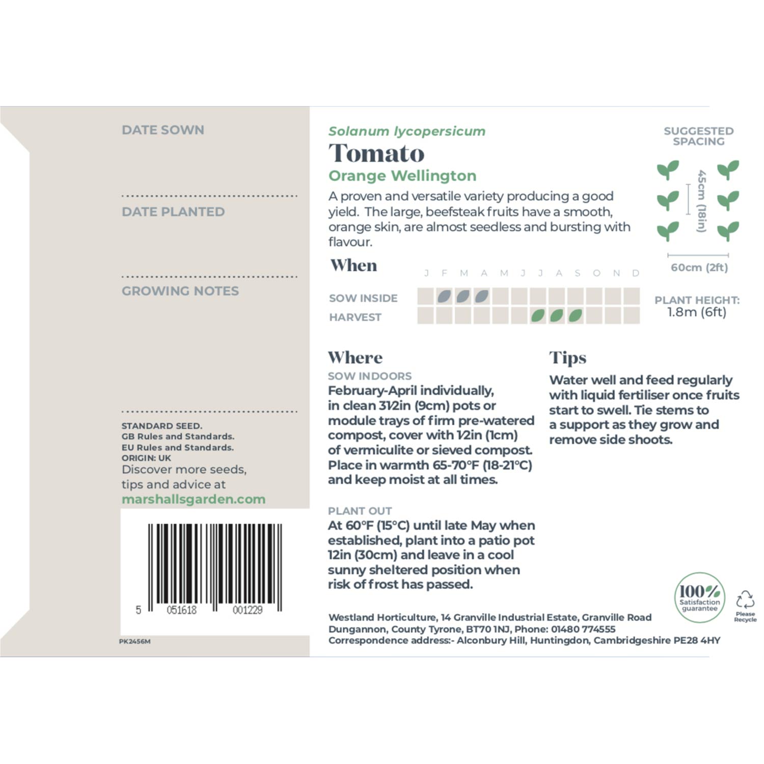 Tomato Seeds 'orange Wellington', Disease-resistant Rhs Award Winner | 12 Seeds