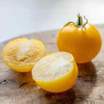 Complete Tomato Collection For Greenhouse, Patio And Garden Seeds | Set of 9
