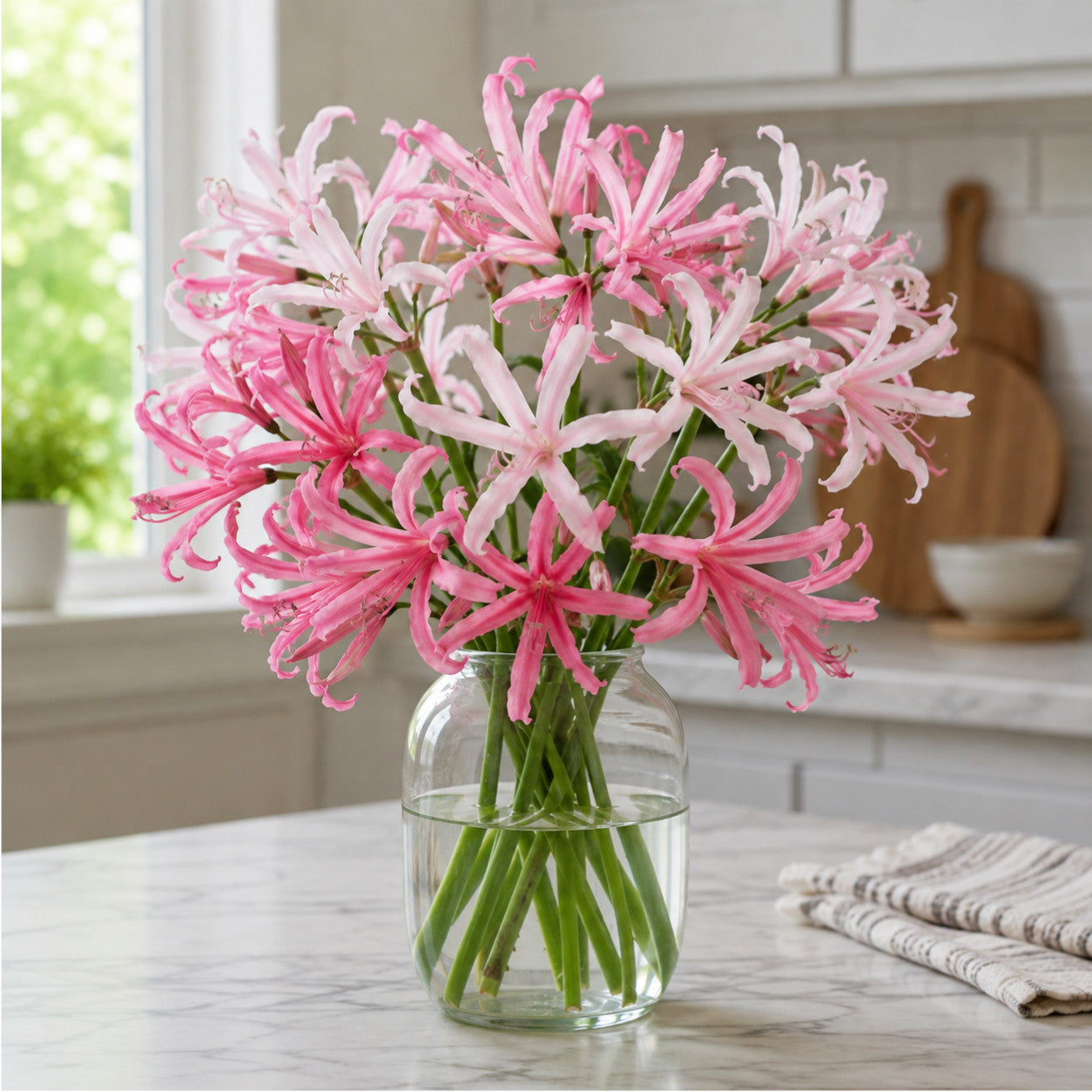 Amarine ‘garden Angels’ Collection - 2 Litre Pots | Set-of-6 | Pink