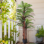200cm H Artificial Cycas Palm Decorative Plant In Planter