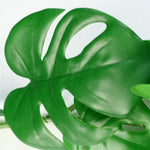 6 X 180cm Artificial Hanging Trailing Monstera Plant
