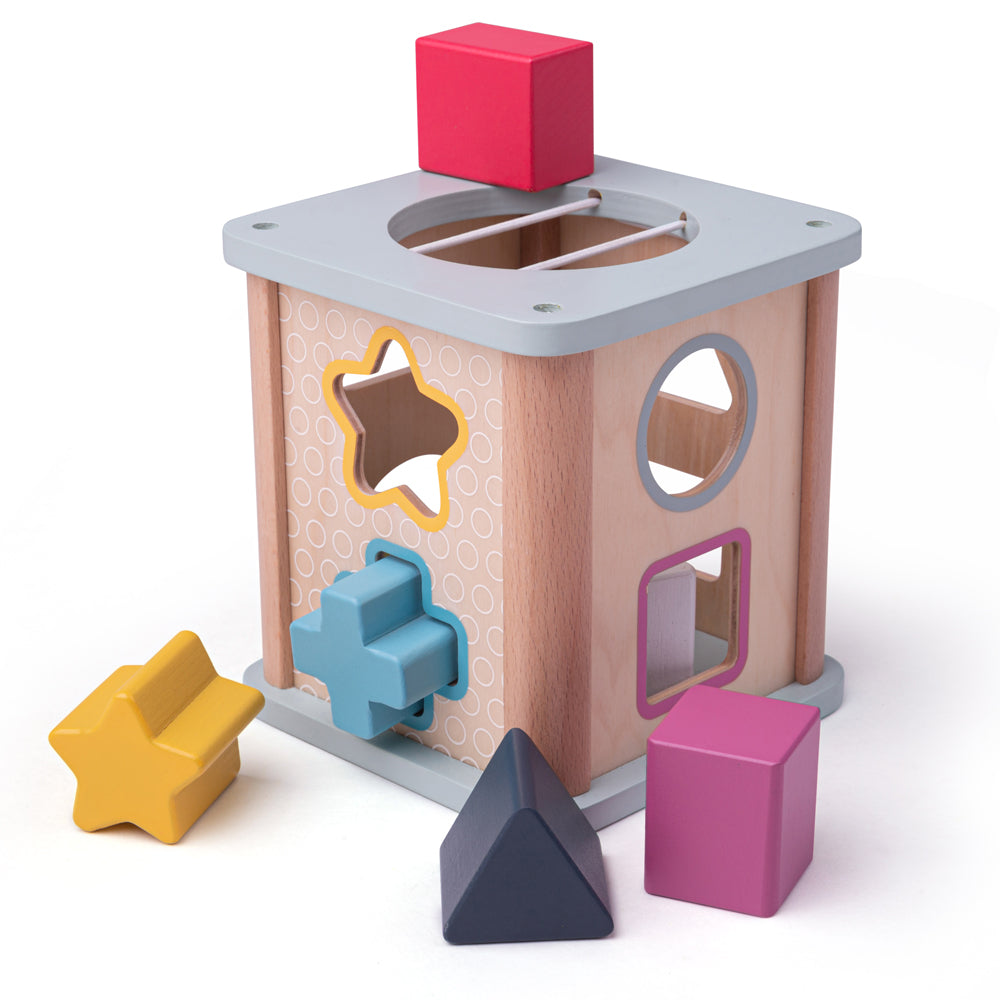 Bigjigs Toys Wooden Shape Sorter, Includes 9 Play Pieces