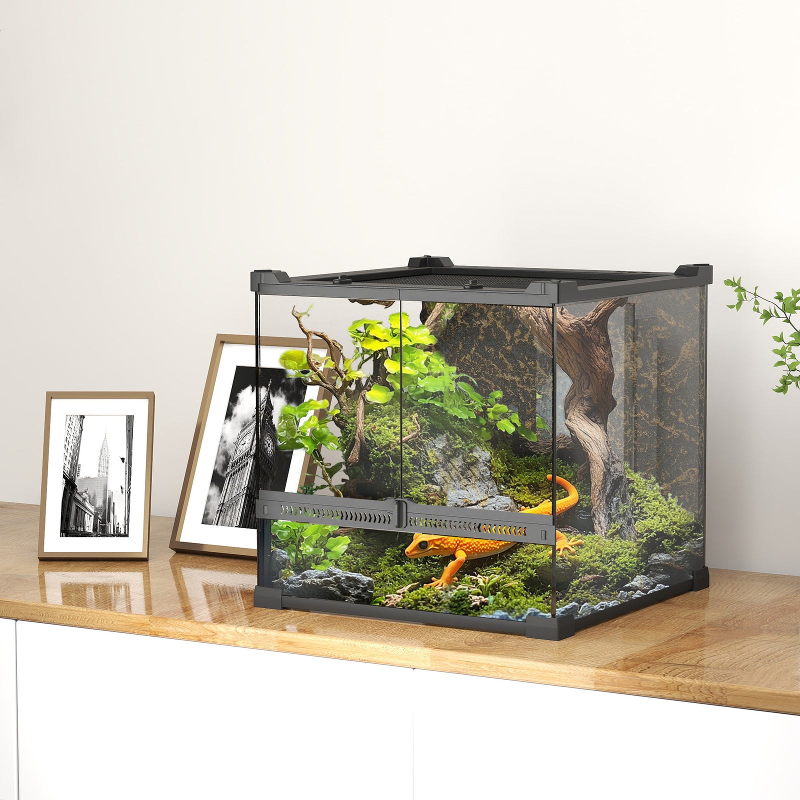 Glass Terrarium, Reptile Vivarium With Stone Background | 24l | Black