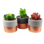 14cm Set Of Three Stoneware Mini Copper Band Planters With Artificial Succulent Plants