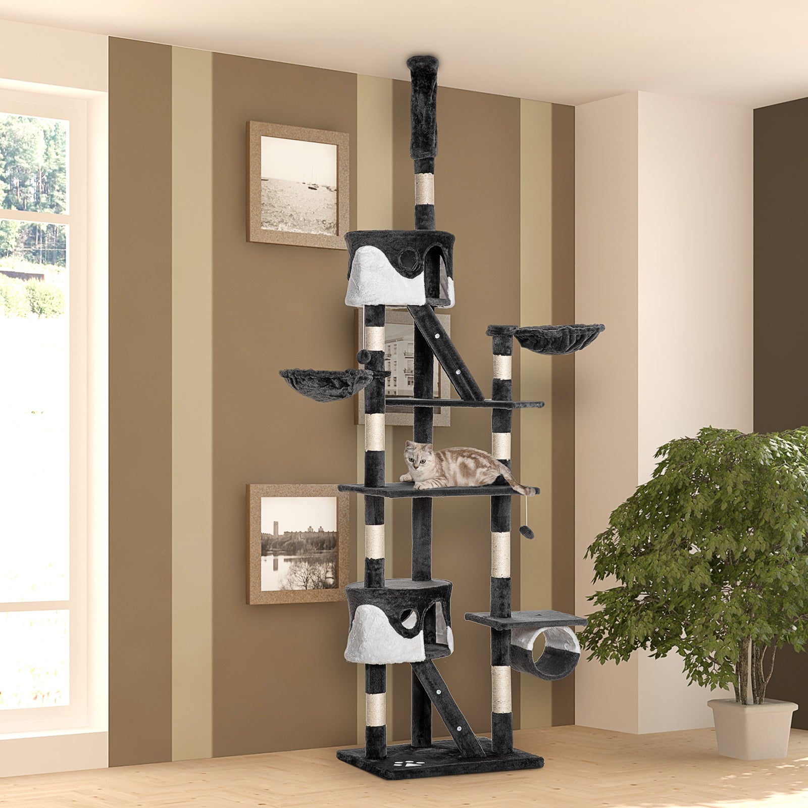 240-260cm Floor To Ceiling Cat Tree With Scratching Posts | White