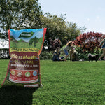 Moss Master Natural Moss Remover And Lawn Feed - Up To 3 Months 80 sqm | Single