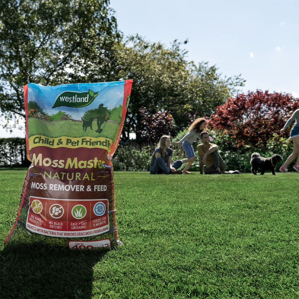 Moss Master Natural Moss Remover And Lawn Feed - Up To 400 sqm | 1 x 400sqm