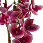 Artificial Orchid Black Ceramic Planter Dark Pink Black Planter 70cm