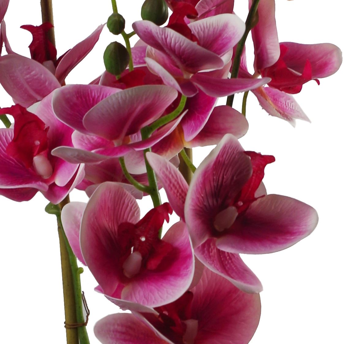 Artificial Orchid Black Ceramic Planter Dark Pink Black Planter 70cm