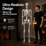 Yezi Halloween Skeleton Life Size 185cm Posable Joints Haunted House Patio White