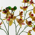 43cm Pink Yellow Artificial Orchid In Ceramic Planter