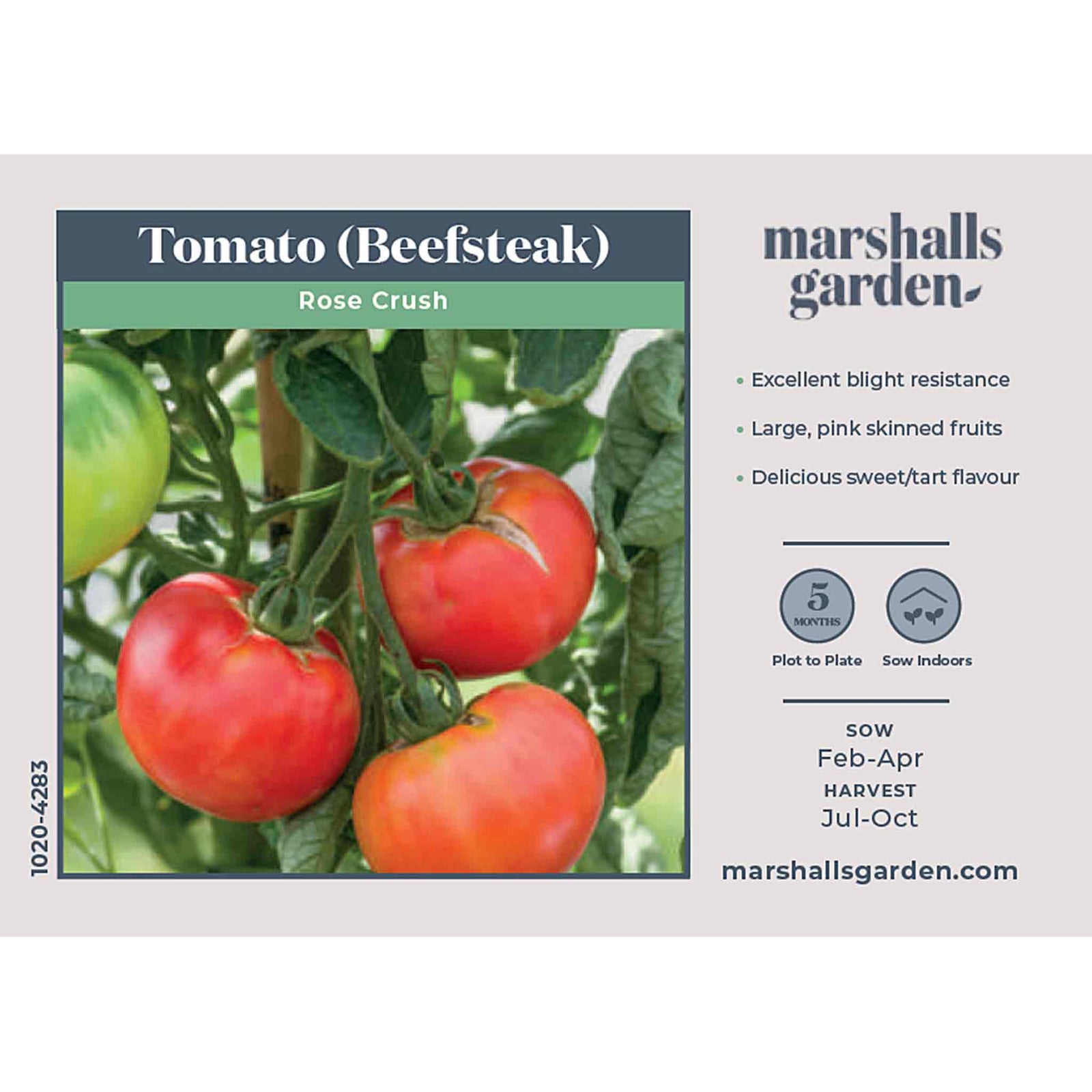 Rose Crush Tomato Seeds | 10 Seeds