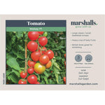 Tomato Seeds Cordon 'maisey' F1 | 8 Seeds