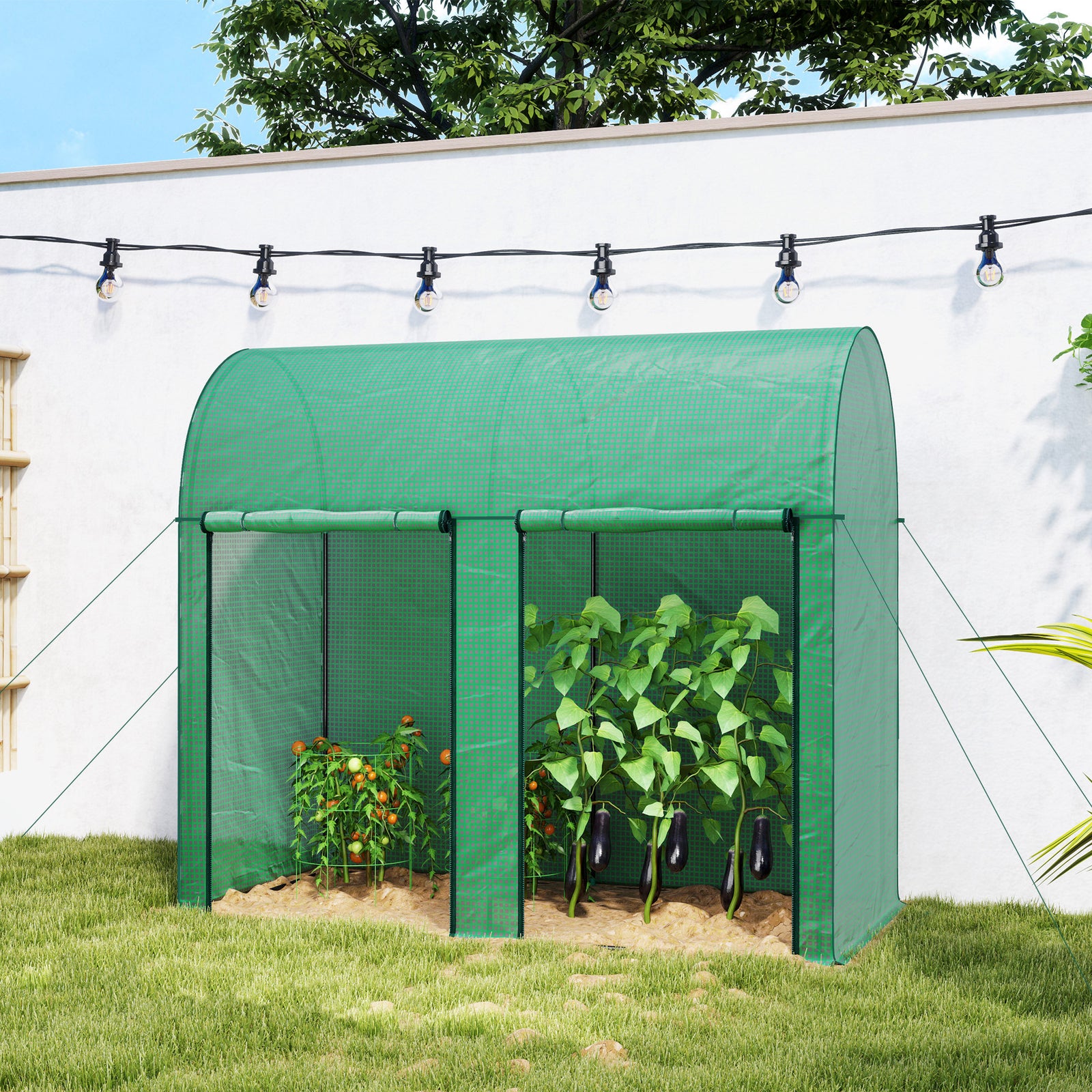 200 X 100 X 178cm Small Tomato Greenhouse With Zipped Doors | Green
