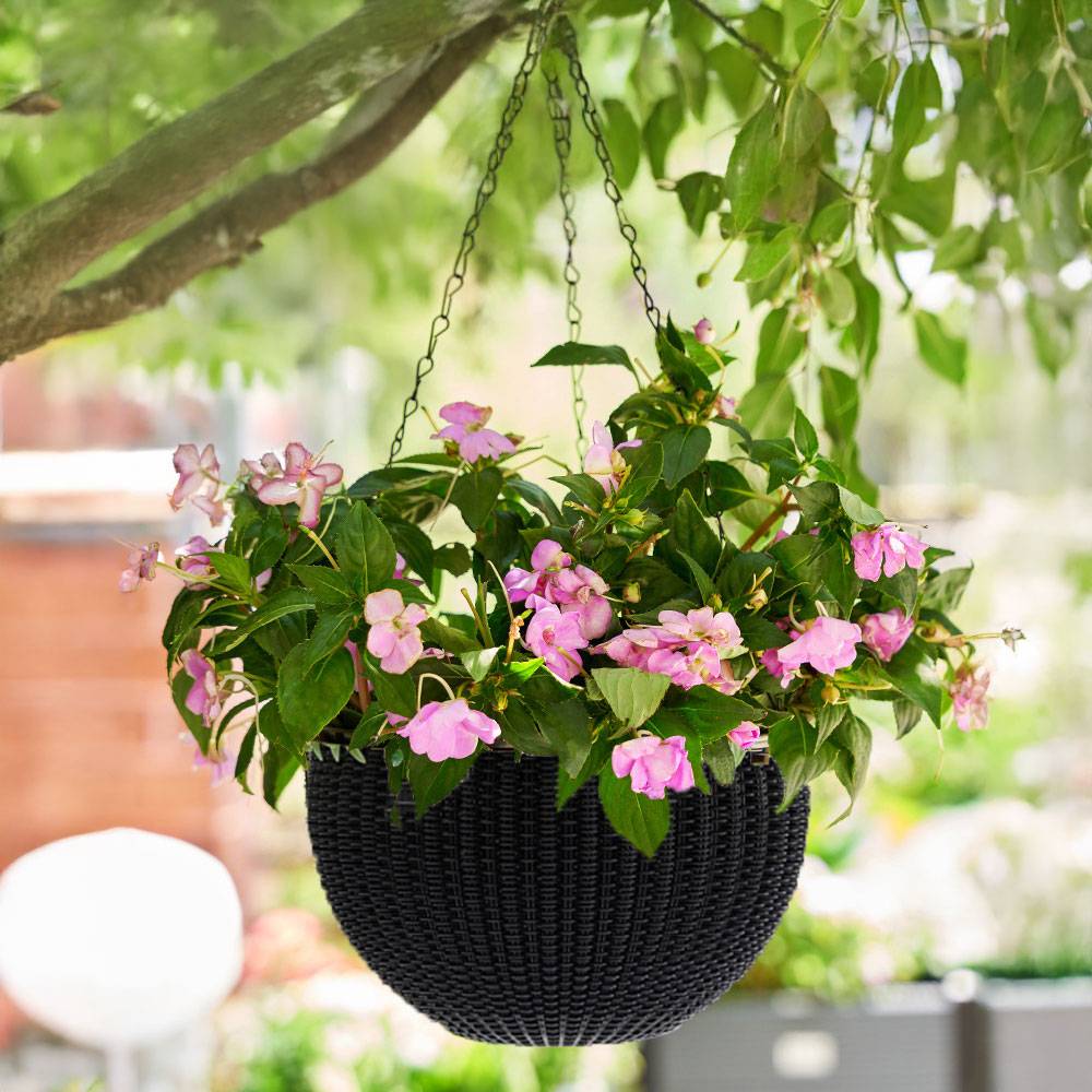 3pcs Black Hanging Flower Baskets – 16.5 Cm Plastic Planters For Home Decor | Black
