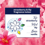 Creations Fabric Conditioner Strawberry & Lily, 30 Washes, 900ml | Set-of-4