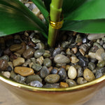 46cm Artificial Orchid White And Gold