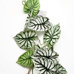 Artificial 120cm Trailing Hanging Plant Alocasia Dragon Scale
