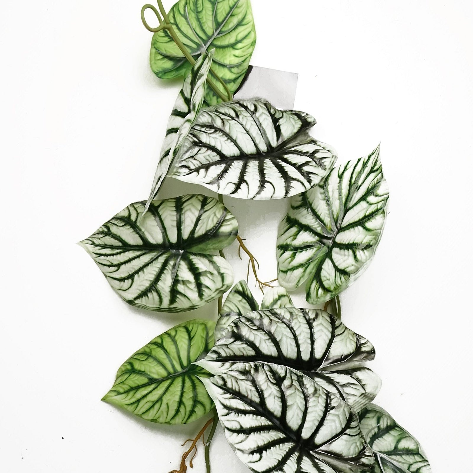 Artificial 120cm Trailing Hanging Plant Alocasia Dragon Scale